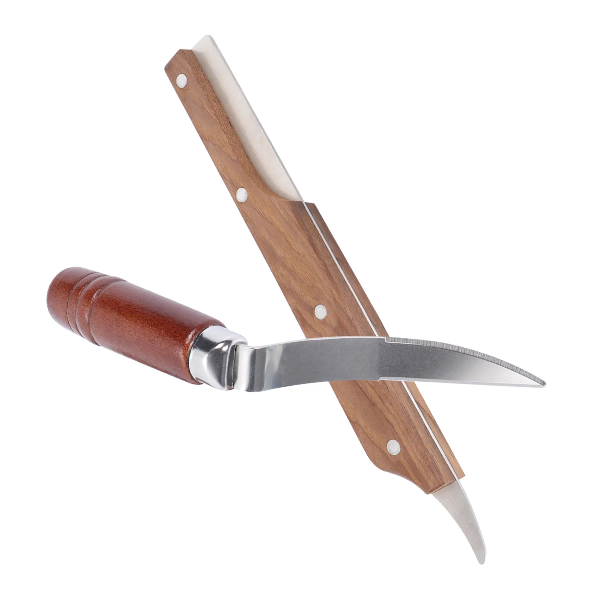 

2 Pcs Coconut Opener Tool Set Stainless Steel Knife Scraper Easy Open Fresh Coconut Water Meat Extractor Kitchen Gadgets