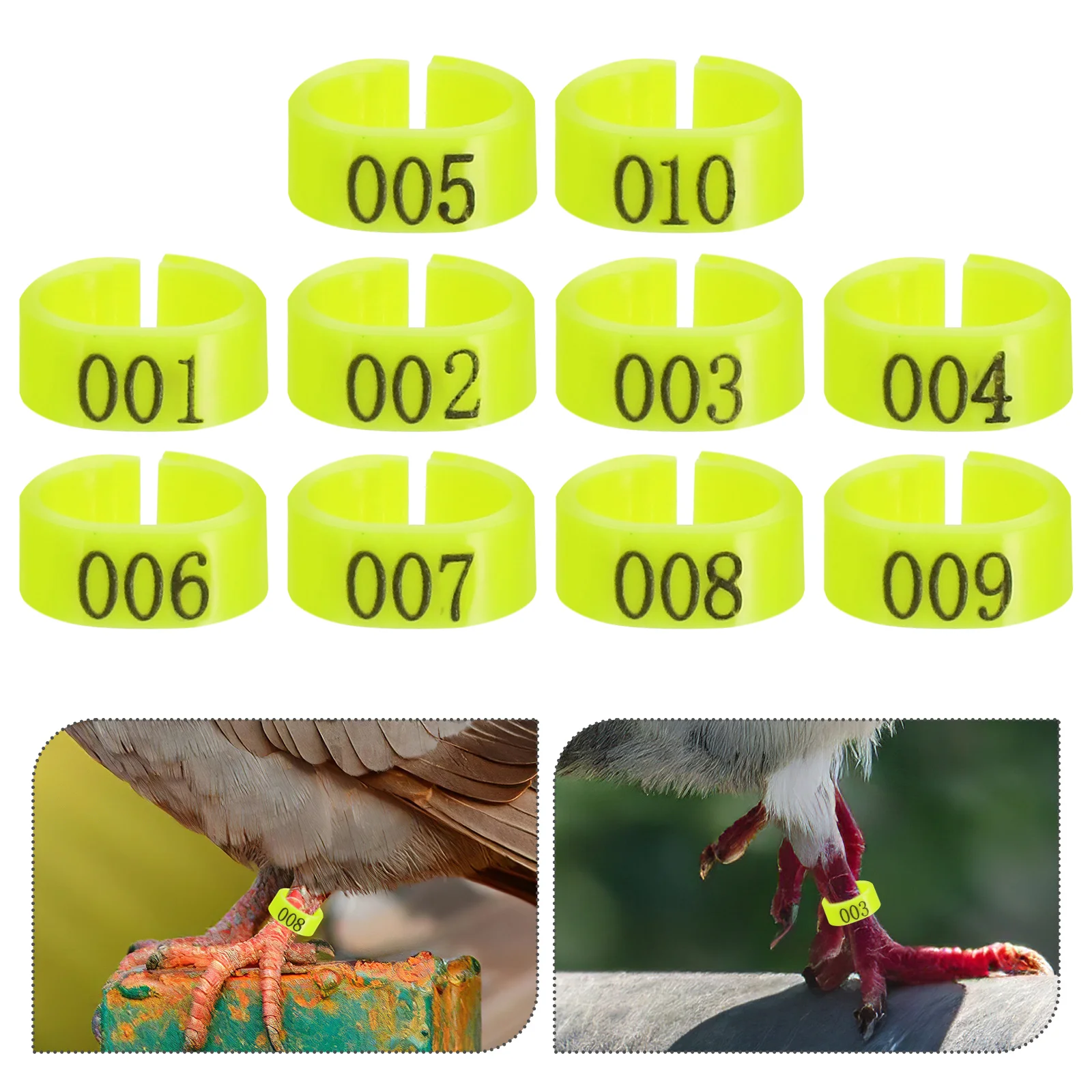 

100pcs Pigeon Leg Rings Reusable Bird Identification Bands Durable Plastic Chicken Foot Tags For Small Poultry Quails Racing