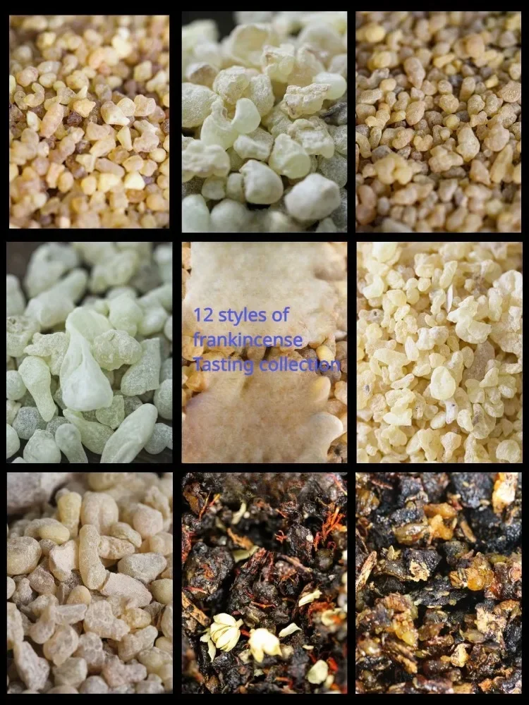 スカルチャーパウダー,エア浄化,スリープリリーフ樹脂,フランス,アフリカ,オミニ,グレー,ナチュラルルックコレクション,セットあたり12スタイル