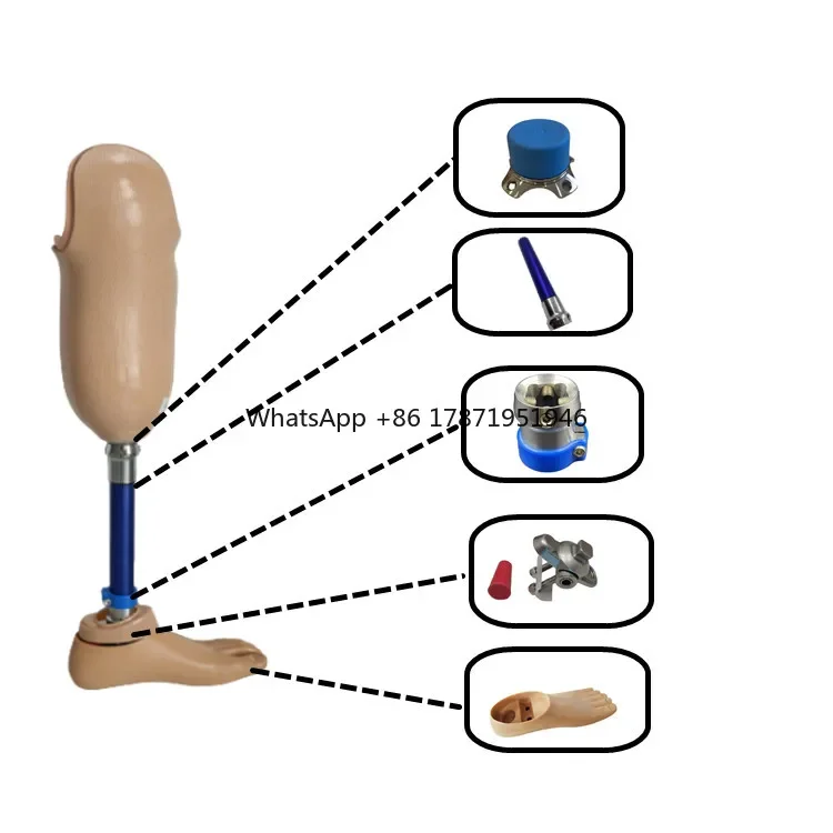 

orthotic knee ankle foot Artificial limbs leg implant prosthesis for People with disabilities prosthetic leg