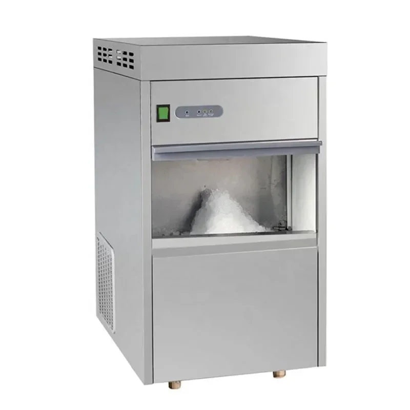 Máquina de Hielo en Escamas Irregulares de Acero Inoxidable Pequeña para Uso Doméstico, 20 kg/día, PLS-NB-20
