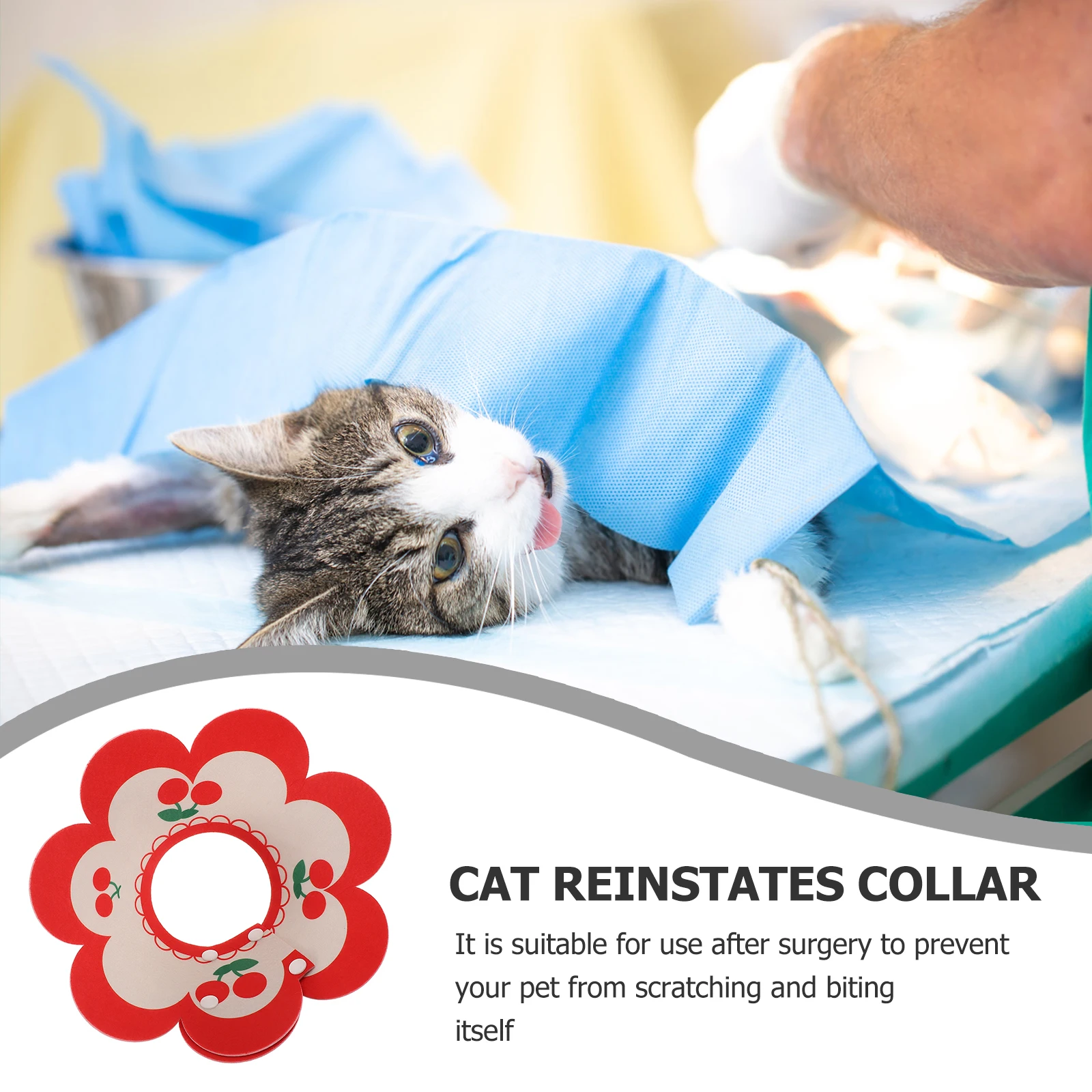 

Elizabeth Circle Cat Accessories Kitten Collars Soft for Cats Surgery Felt Cute