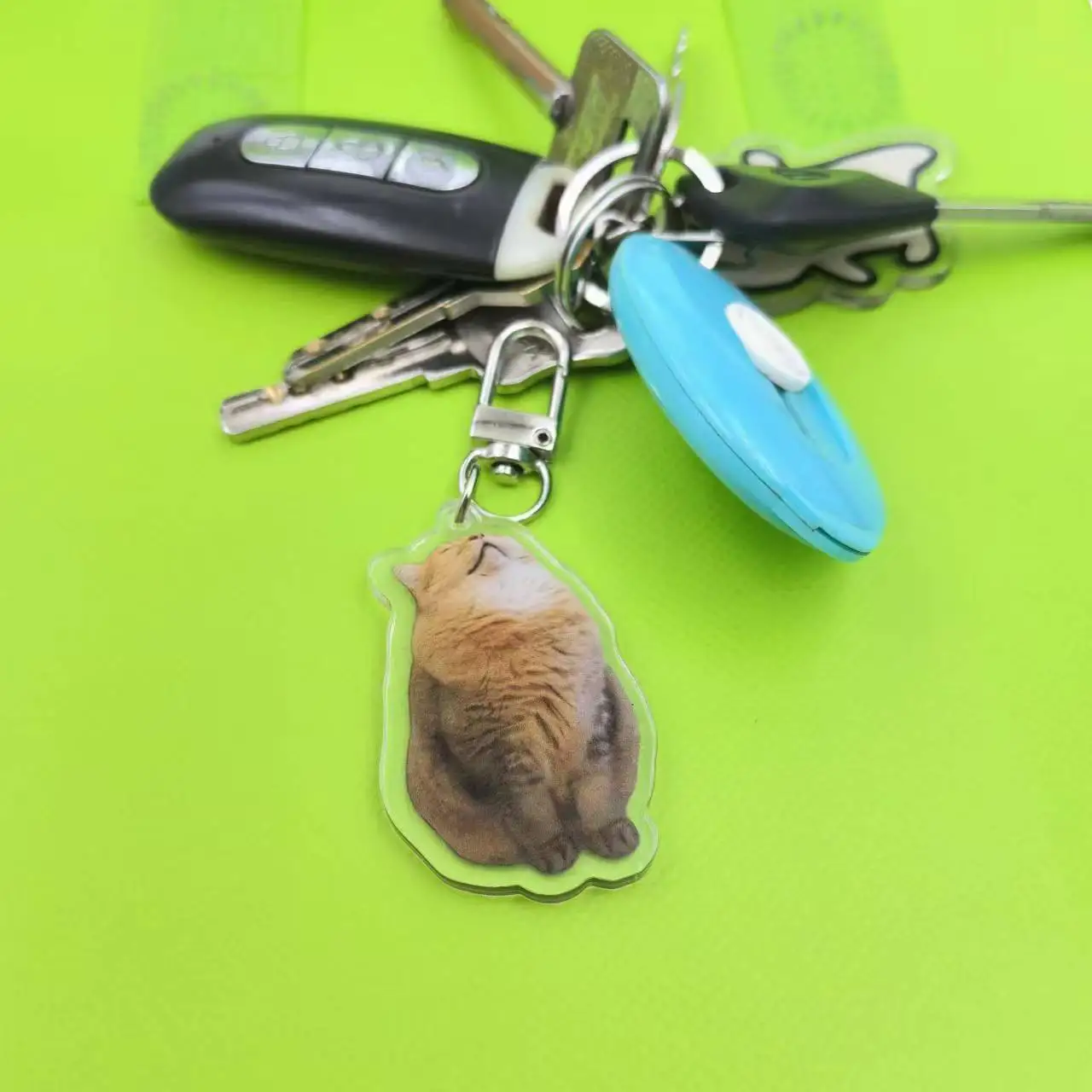 Silly Cat Key Chain, Kitten Sleeping Meme, Dog Laughing Meme, Screen Smiling Corgi Dog Meme Keychains Diy Pendant, Lovely Gift
