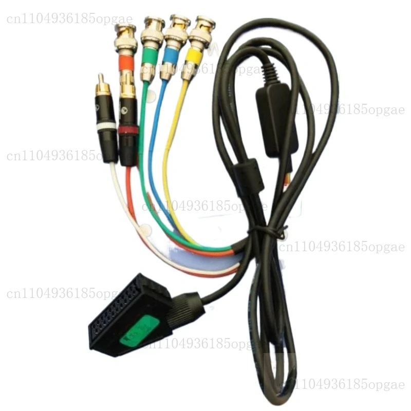 RGB21 Female Head T… - image