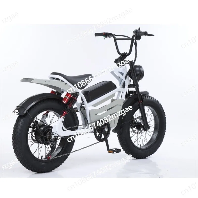 

20-дюймовая двухколесная конструкция корзины для хранения снежного велосипеда легко носить с собой и путешествовать себя электрическим