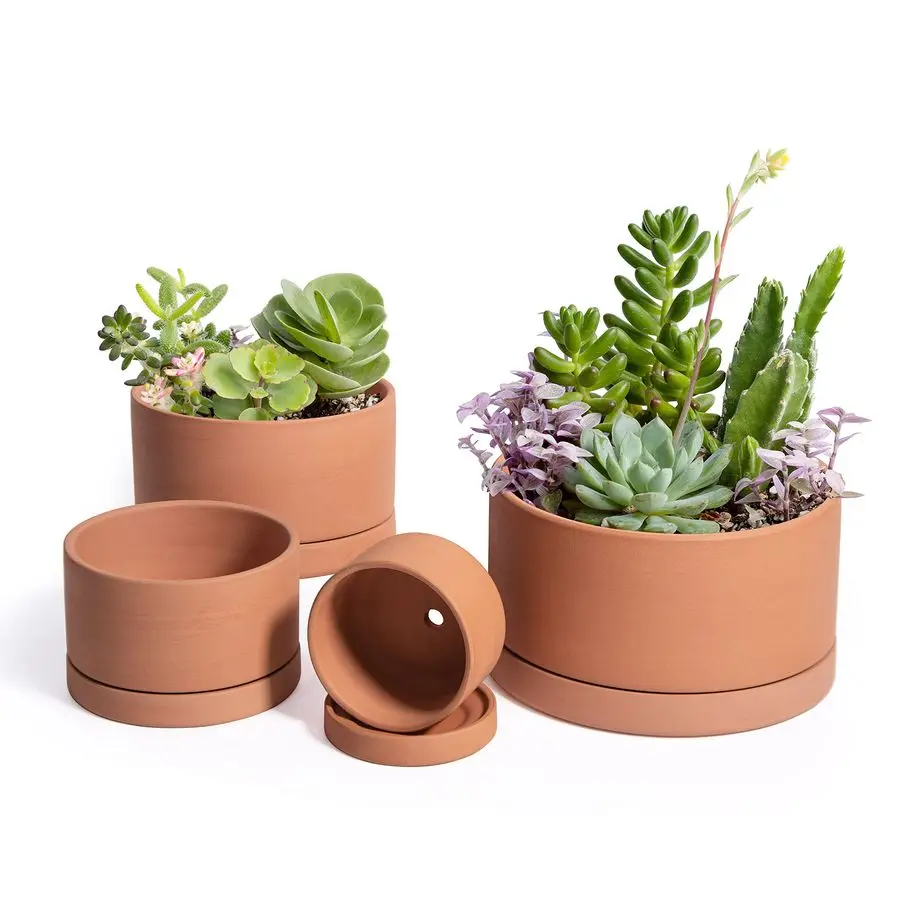 

Dev Set of 4 Terracotta Shallow Planter Pots for Succulent, 3 Inch 4 Inch 5 Inch 6 Inch, Small Flower Plant Pots with Drainage a