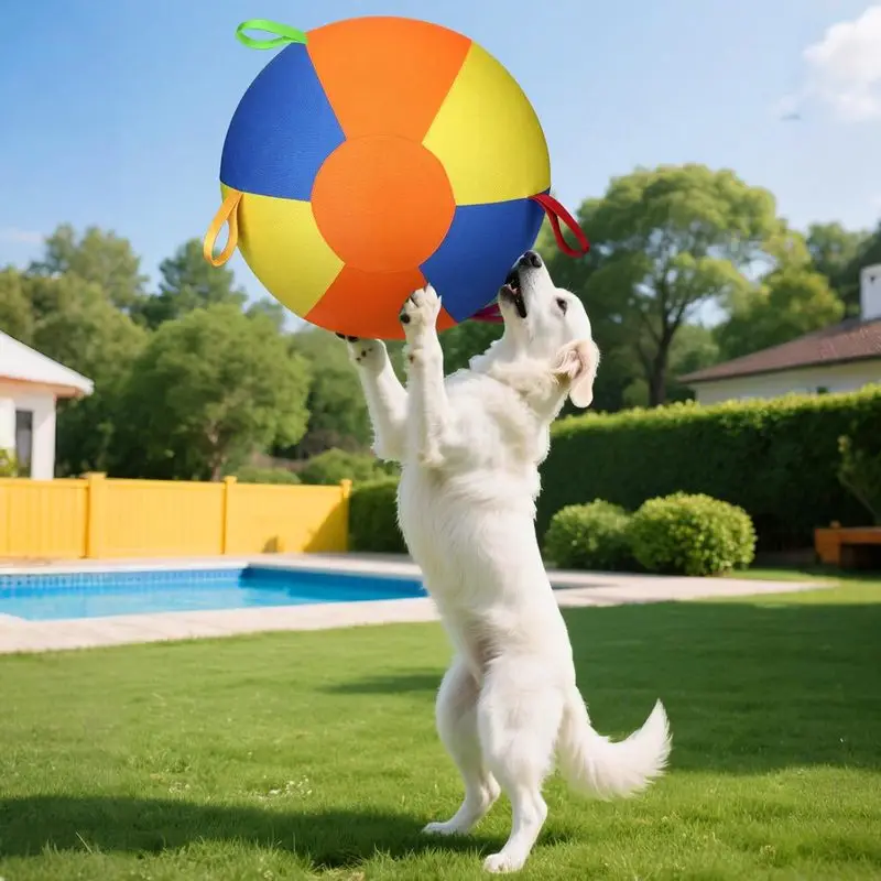 Dog Training Ball, Ball for Large Dogs, Inflatable Sheepdog Ball, with Handle and Air Pump, Suitable for Border Collies