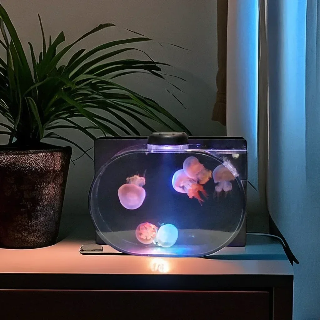 Small Oval Jellyfish Tank, 1.8L with Filtration System for Tabletop Display, Can Culture Many Kinds of Small Aquatic Organisms