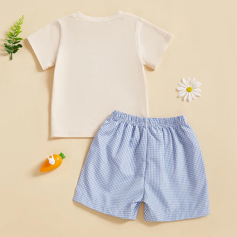 Toddler Baby Boy Girl Shorts Set Short Sleeve Round Neck Tractor Carrot Embroidery Tops Elastic Waistband Plaid Shorts Set