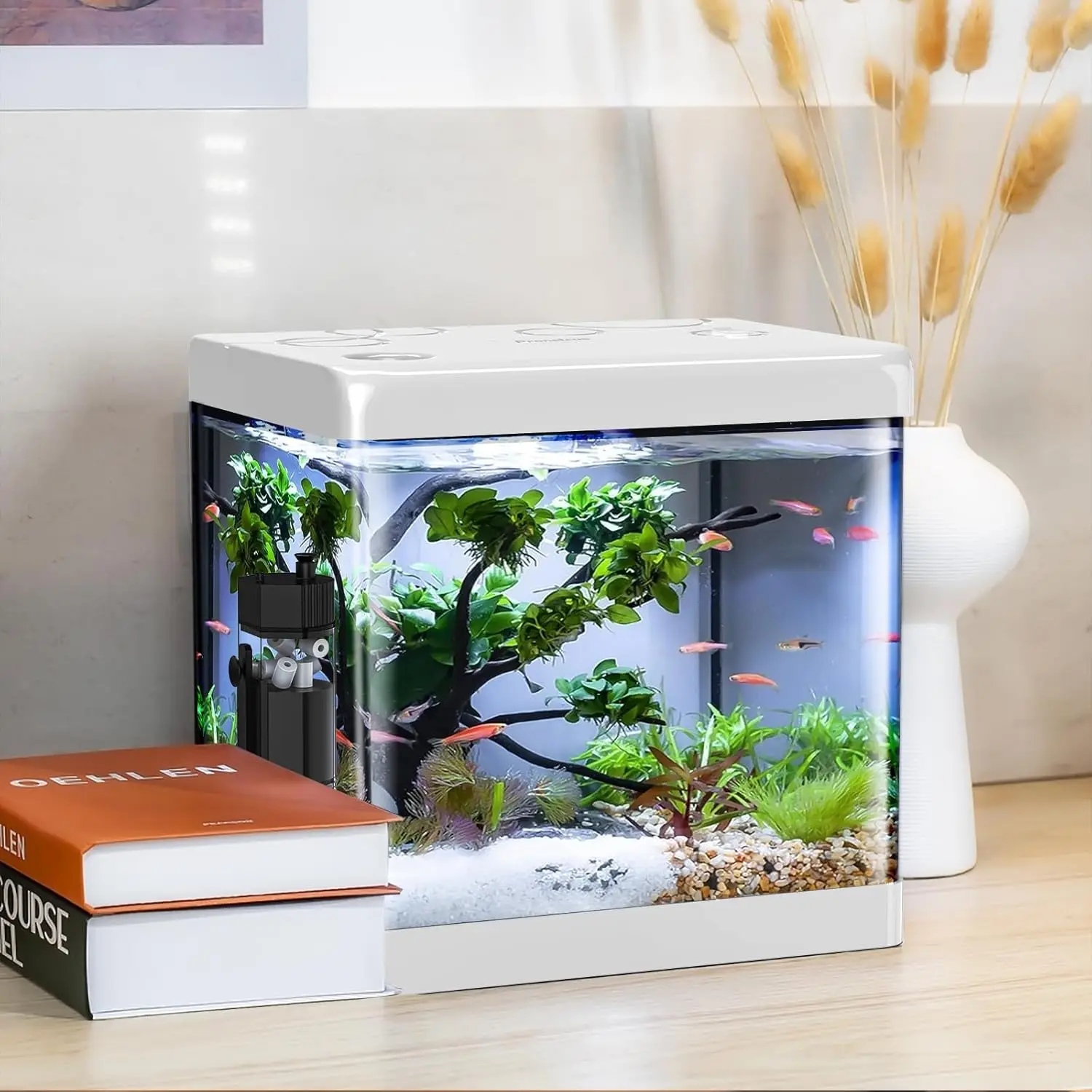 

Small Glass Aquarium Betta Fish Tank Starter Kit 5 Gallon With Filter And LED Light White
