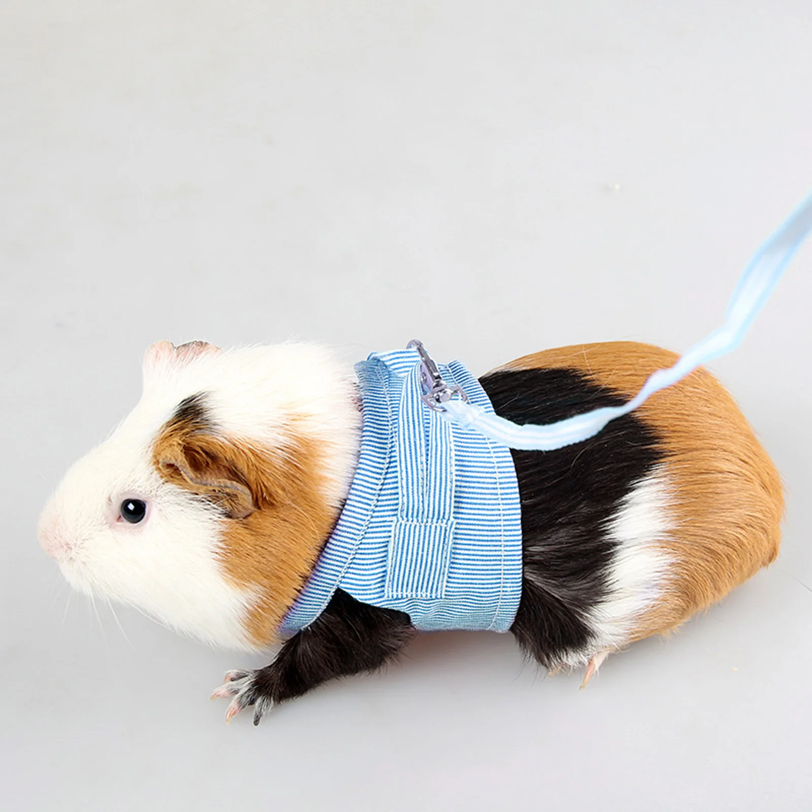 

Adjustable Pet Harness 18_24cm Chest Lightweight Small Leash Guinea Squirrel Hedgehog Machine Washable All Season Pet