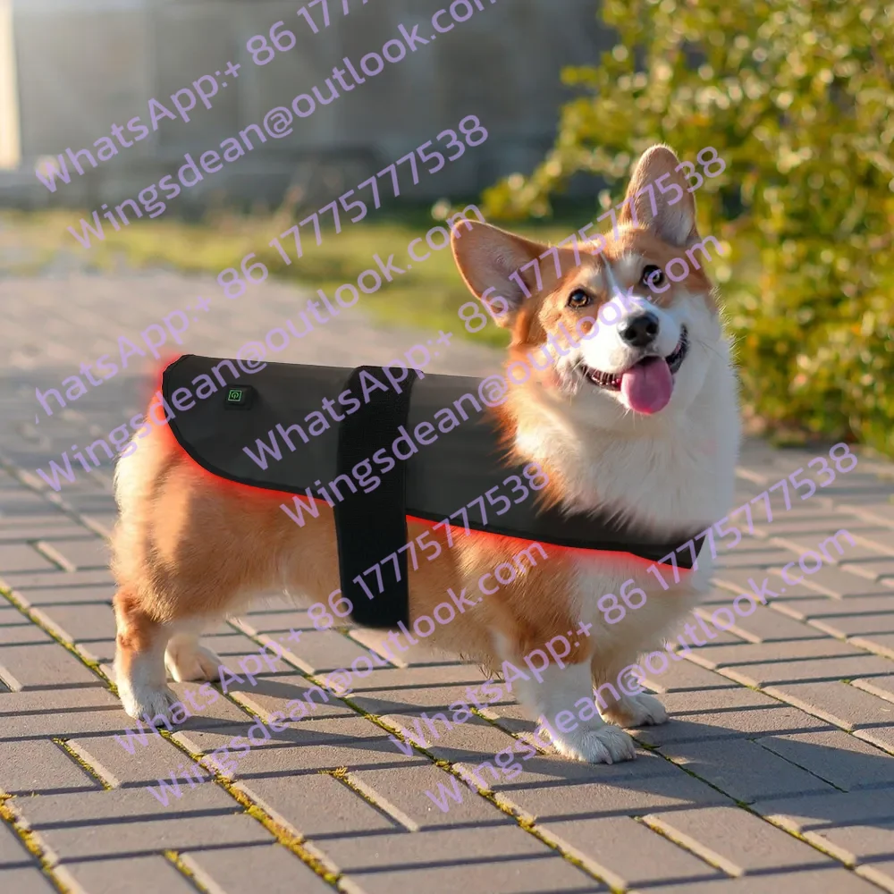 Home Use Red Light Led Therapy Device for Pets Body Leg Pain Relief Wound Healing Physiotherapy Belt