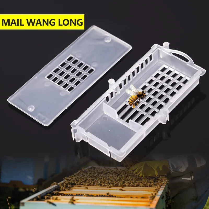 

1-10 шт. пластиковые белые клетки для пчеловодства, клетки для перевозки королевы пчел, оборудование для насекомых, домашний улей, инструмент для пчеловодства