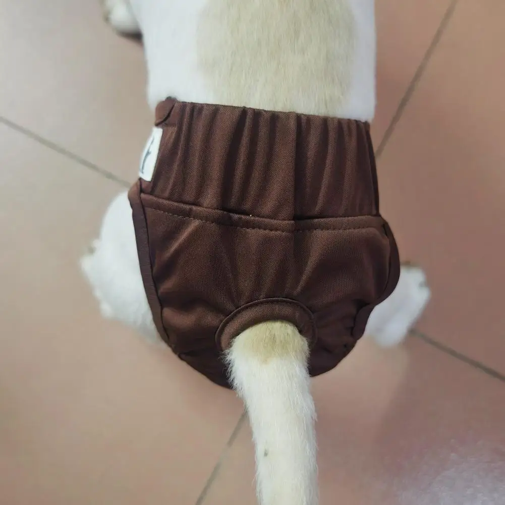 Female Dog Shorts Pet Products Physiological Pants Dog Supplies For Small Meidium Size Dogs Puppy Diaper Pet Underwear