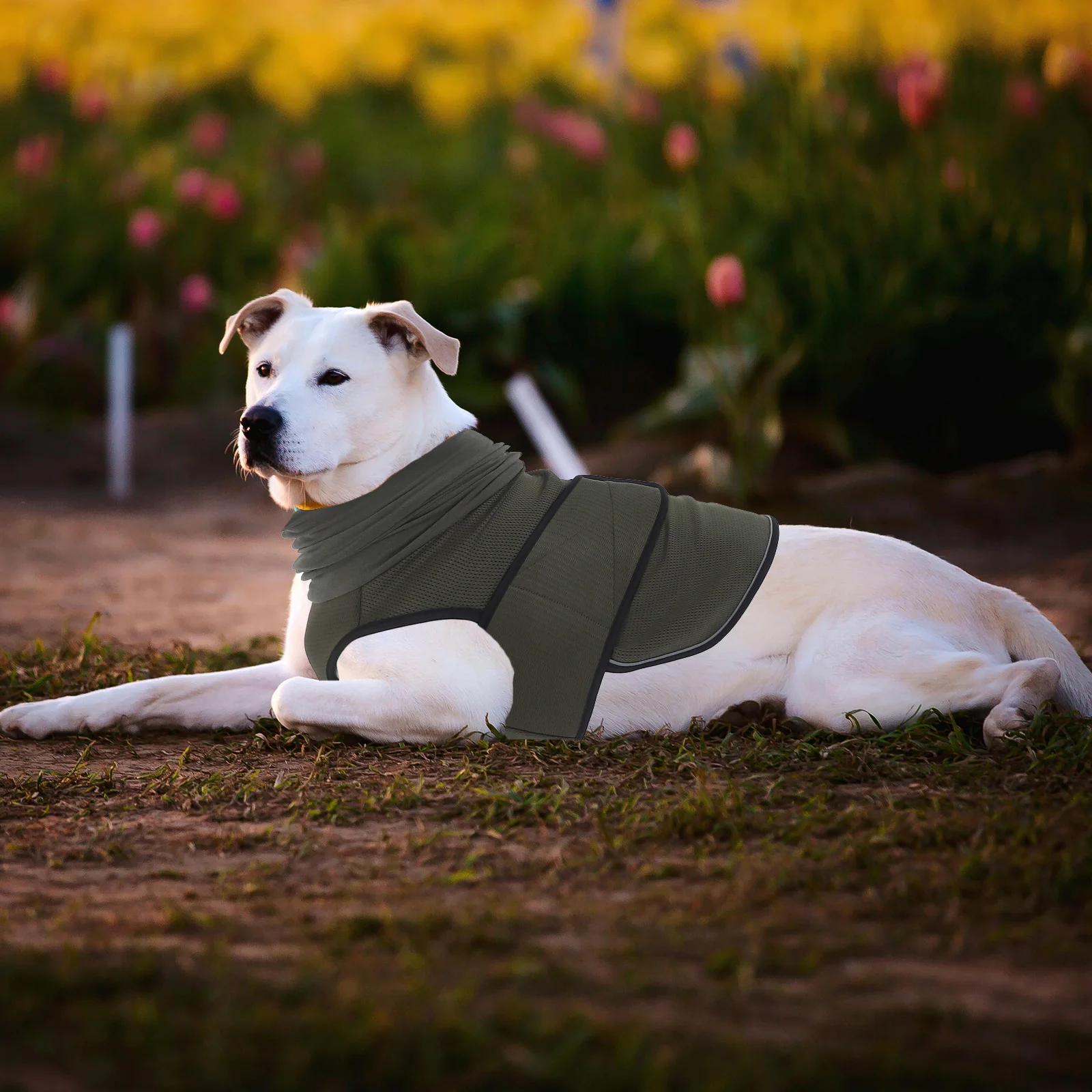 

Pet Comfortable Clothes Anti Anxiety Jacket Dog Calming Vest with