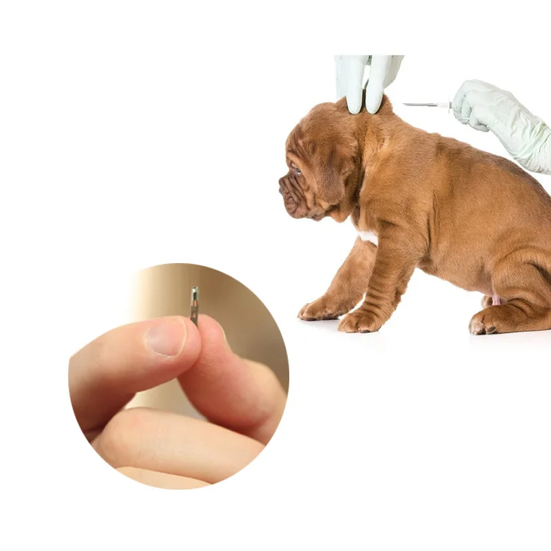 100pcs 2.12x12mm,1.4x8mm,1.25x7mm animal pet microchip,nano chip,fish PIT tag,mini RFID glass tag ISO11784/5 FDX-B ICAR standard