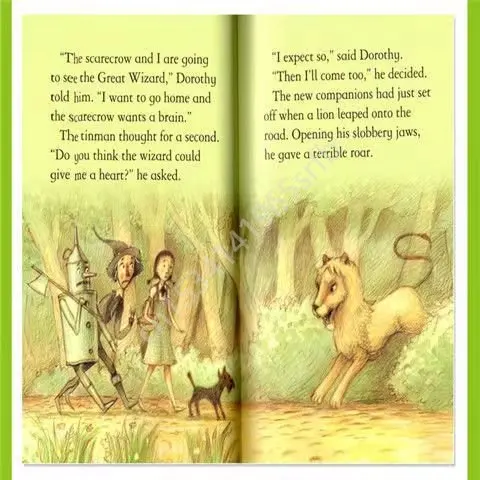 40 Volumes The Usborne Reading Collection Stage 3 English Book Child Kids Word Sentence Fairy Tale Story Book