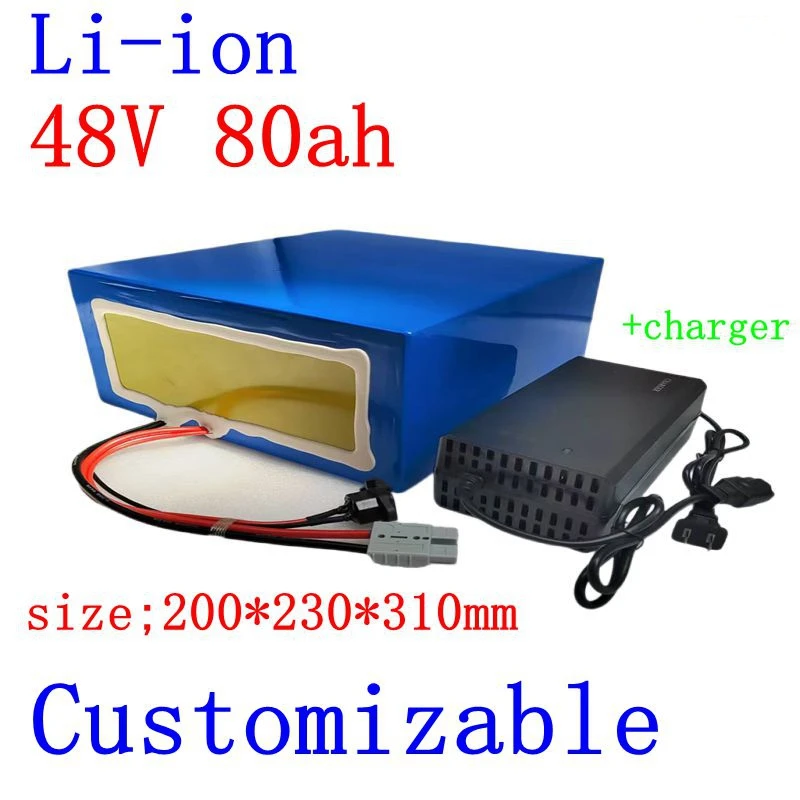 Batterie VEFEPO4 de 48V et 80Ah avec BMS 16S et Chargeur 10A, pour Système Solaire de Scooter et Vélo de 4000W et 3000W