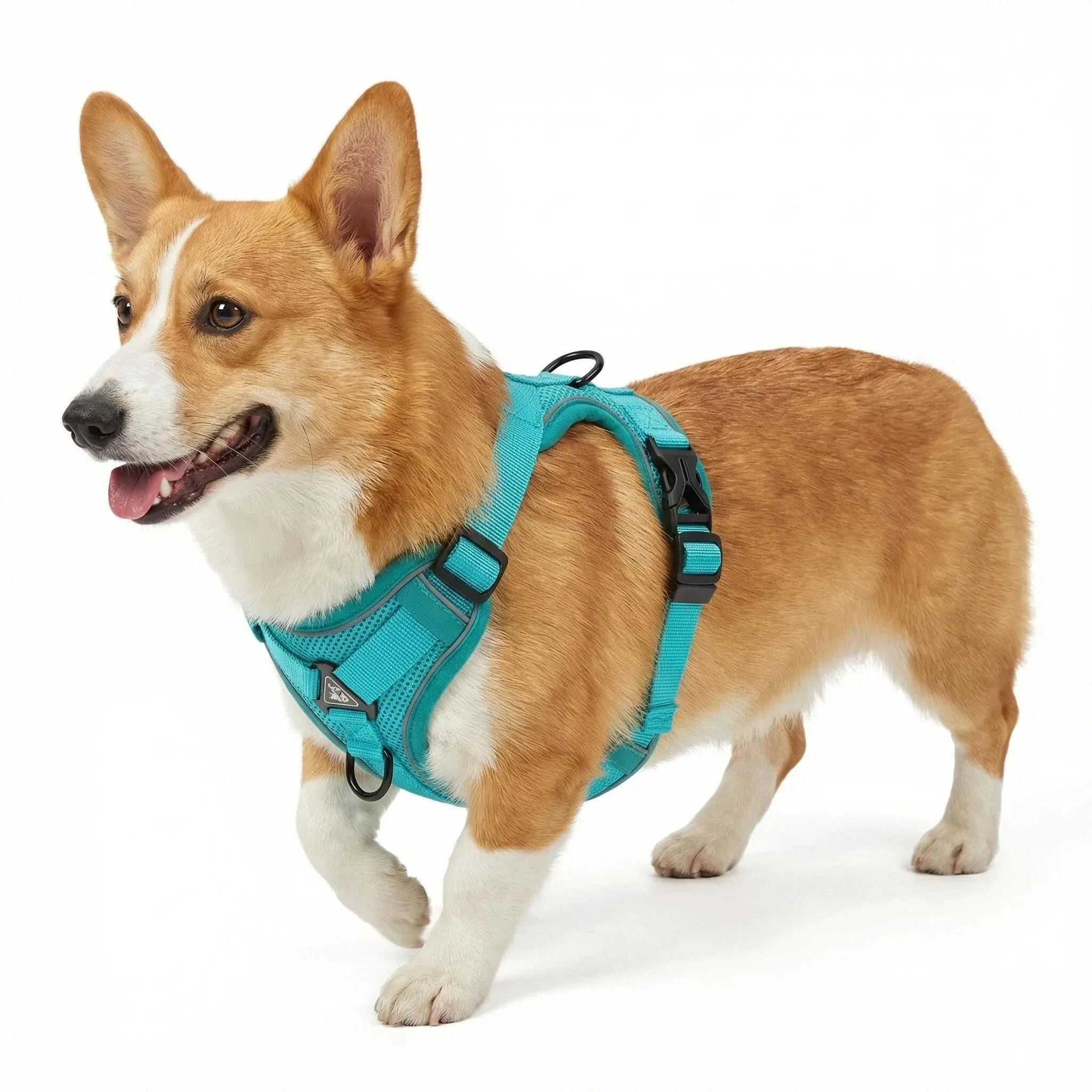 #53 Best Puppy Collars to Buy In 2026