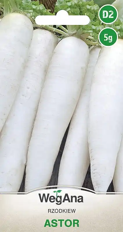 Rábano Astor 5 nnasiona vegetal VegAna