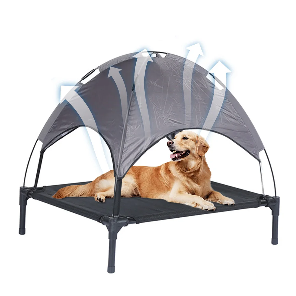 Elevated Dog Bed Wi…