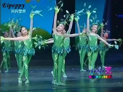 중국 스타일 무용 의류, 작은 잎 무용 의류, 공연 의류, 소년 공연