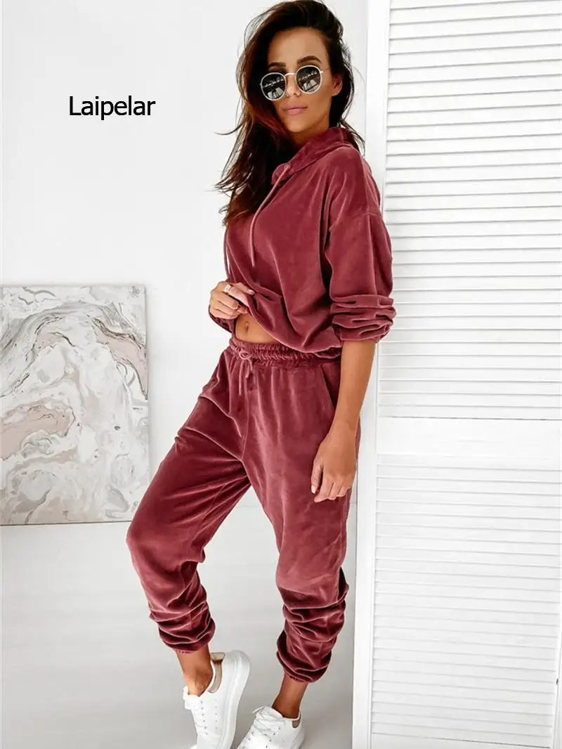 Velvet Tracksuit Women\' Sets Autumn Winter Clothes Hooded Pullover Sweatshirt Top and Pants Suit Casual Two Piece Velour Outfits