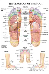 REFLEXOLOGY OF THE FOOT ACUPUNCTURE POINT CHART Print Art Canvas Poster For Living Room Decor Home Wall Picture