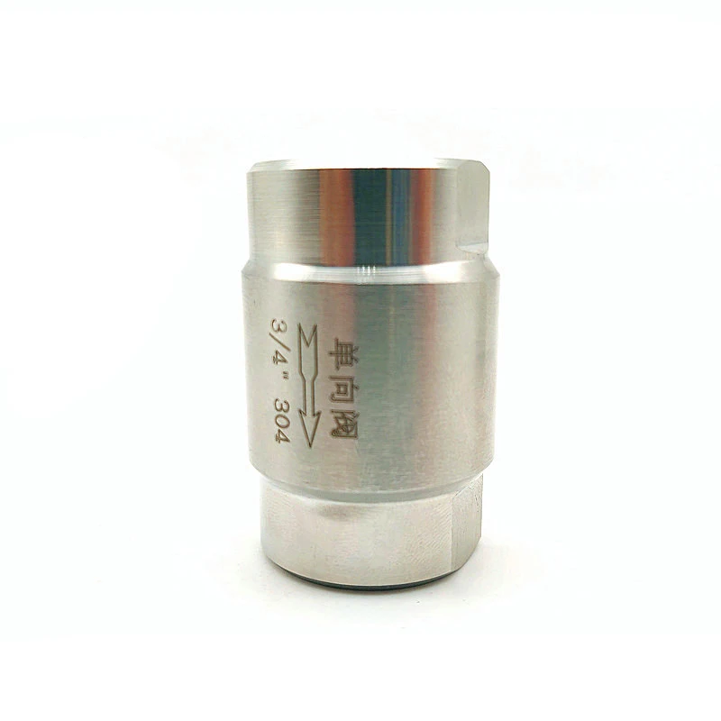 304 Edelstahl Hochdruck Eine Weg Ventil 1/8 "1/4" 3/8 "1/2" 3/4 "1" 6,4 Mpa Männlichen Gewinde Überprüfen Ventil – Detail 1