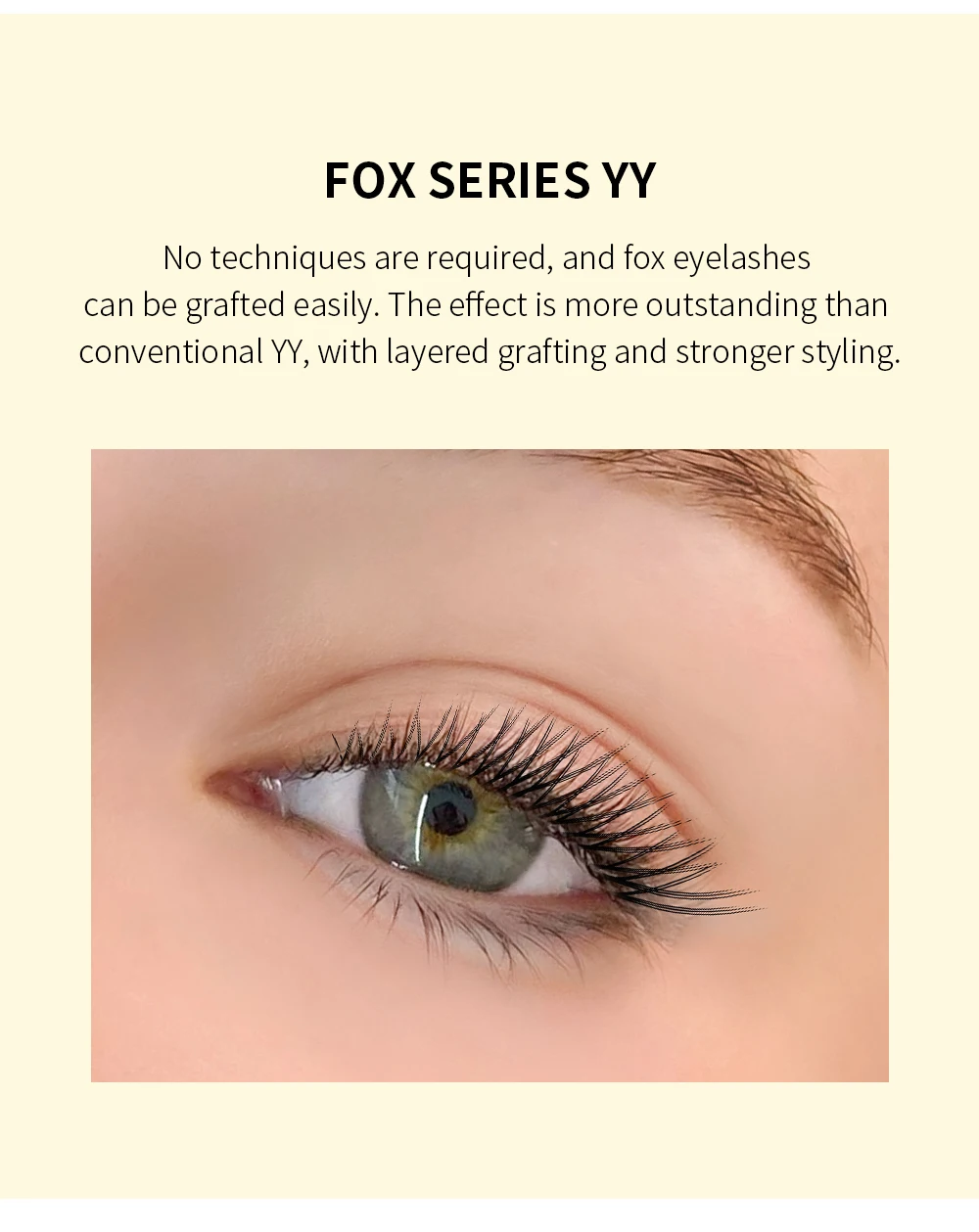 GLAMLASH Flying YY 3DW 4DW 5DW Wimpernverlängerung Air Serie Fox Soft Natural Brazilian Volume Premium Mink Mega – Detail 3