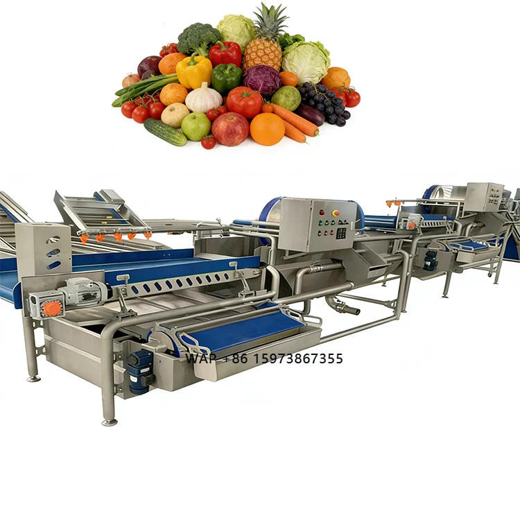 Commercial Industrial Fruit Washer Leaf Vegetable Bubble Washing Machine for Fruits