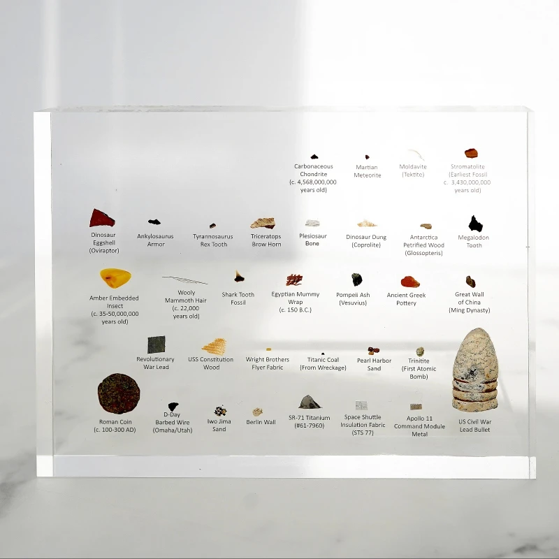 

Real Specimens Touch Edition Mini Museum Historical Gifts Ornament Collection