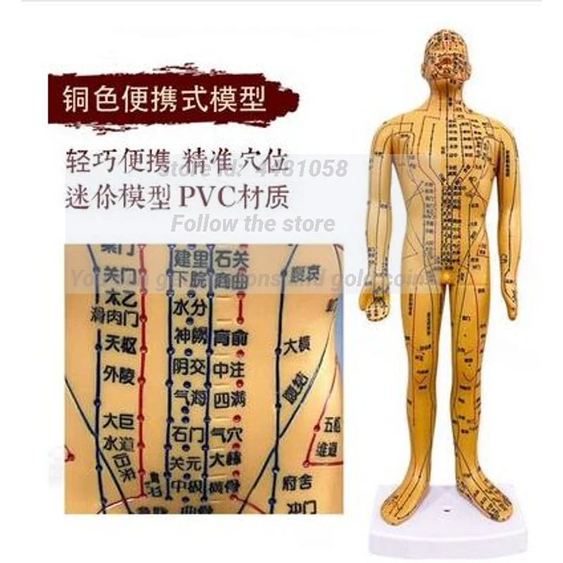 Female Lettering Point Mini Body Mannequin, Acupuncture, Medical Research, Massage, Reflex Zone Teaching Model, C518, 35cm