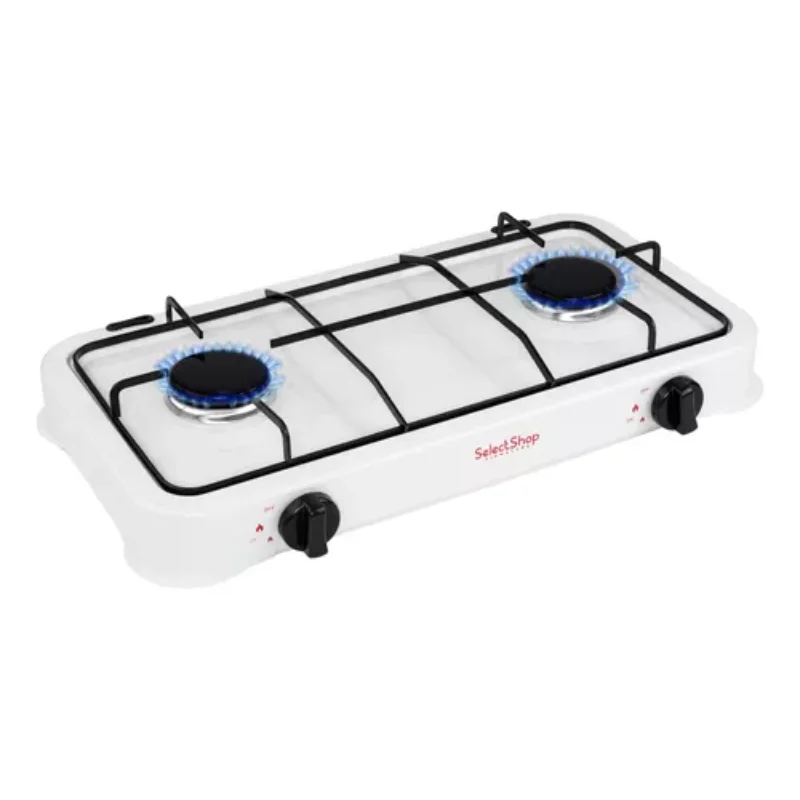 Portable 2 Burner Gas Grill Stove for Outdoor BBQ Cooking