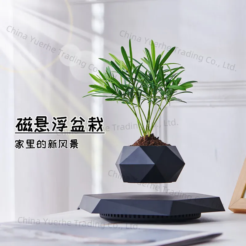 

Maglev potted plant new strange flower pot creative bonsai crafts gifts Teachers' Day gift living room ornament