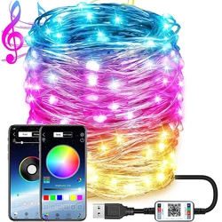 2m/20m rgb decoração da árvore de natal luz bluetooth luz de natal luzes de fadas usb fio de cobre guirlanda led string light lâmpada ano novo