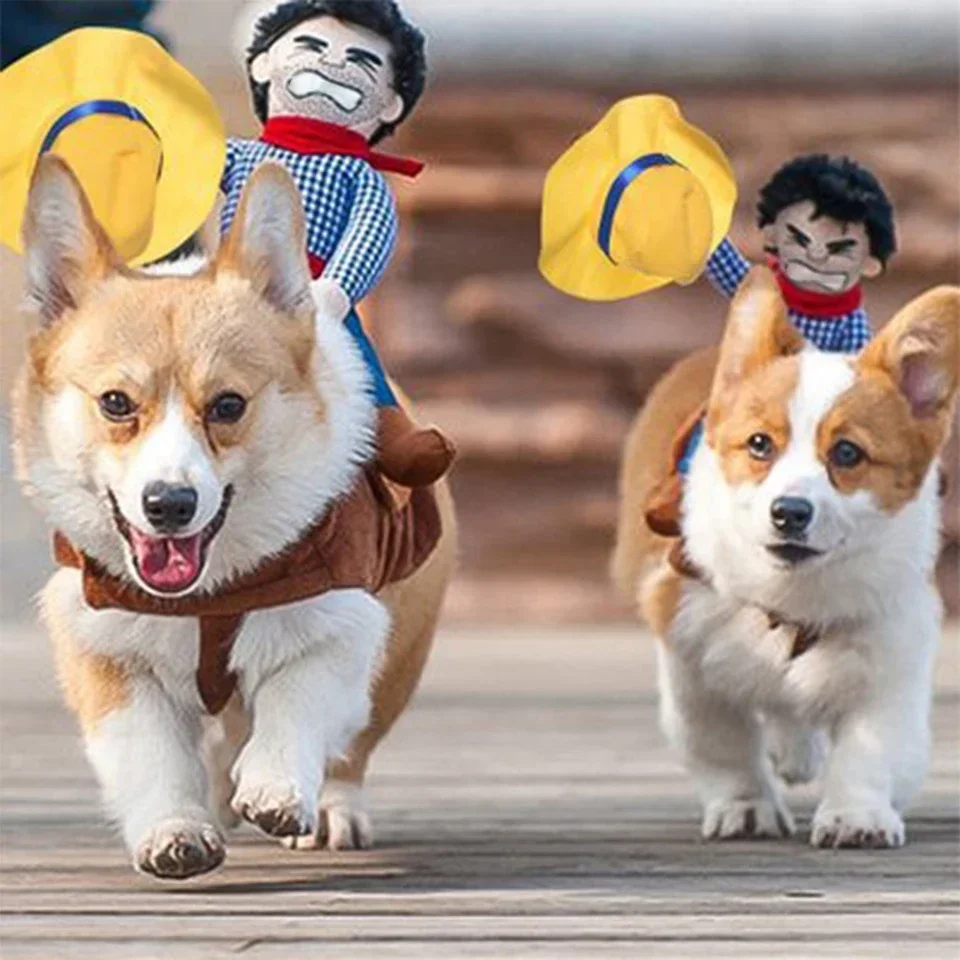 DualPet Dog Clothes Cosplay Halloween Party Funny Cowboy Dressing Up Bulldog francese Chihuahua costumi accessori per cani