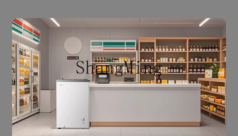 ZYY خزانة عرض صغيرة منزلية وتجارية، ثلاجة فريزر آيس كريم صغيرة