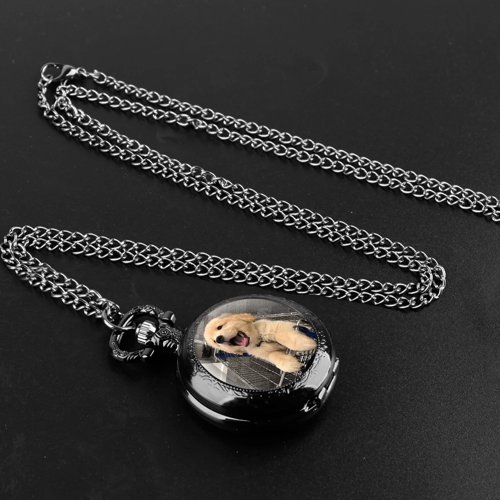 Golden Retriever-Montre de Poche à Quartz pour Homme et Enfant, Verre avant, Cadran Numérique Arabe Durable, Cadeaux Extraordinaires