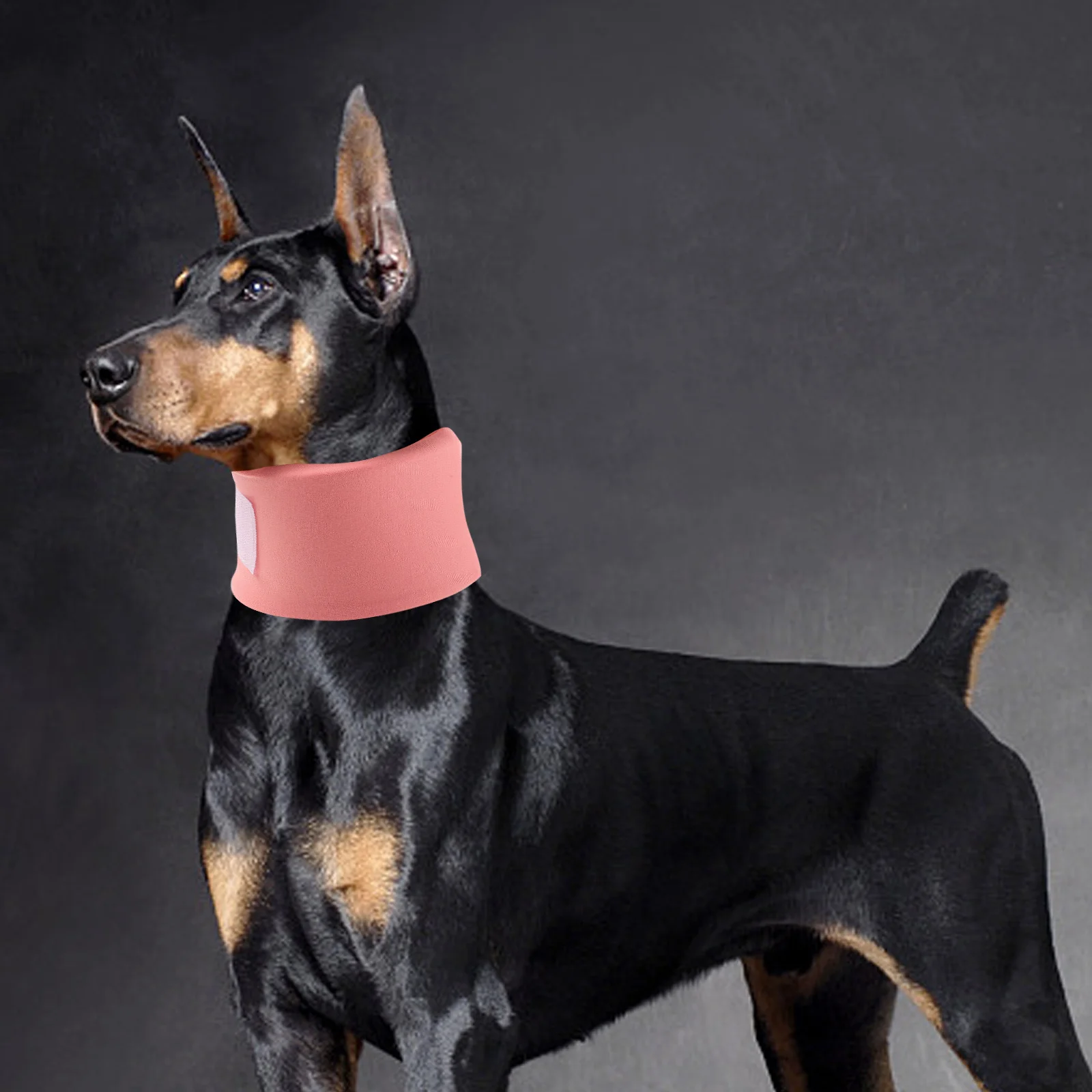 

4Pcs Pet Protective Collar Soft Adjustable Elizabethan Collar for Small Cats Dogs Anti Lick Bite Recovery Neck Guard Breathable