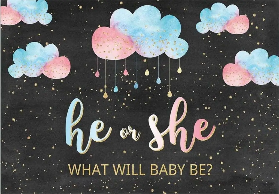 Gender Reveal Party Backdrop Cloud Blue or Pink Banner He or She Decoration What Will Baby Be Baby Shower Photography Background