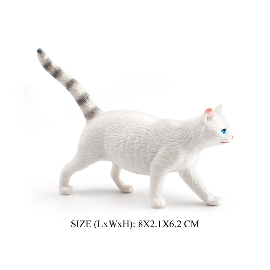Cat -8