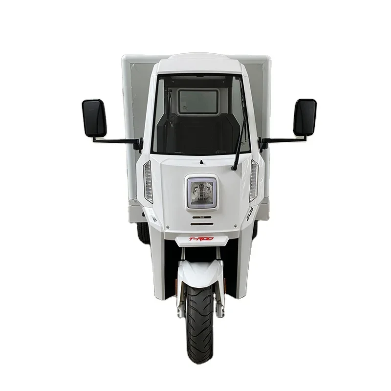 With Truck Box 3KW 4.5KW EEC Motor Lithium Battery Three Wheel Electric Automatic Adult Electric Tricycle