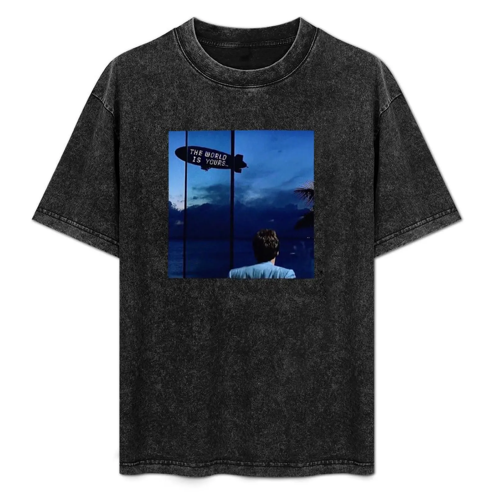 

Scarface The World Is Yours T-Shirt funny gifts Anime t-shirt Aesthetic clothing funny t shirts men