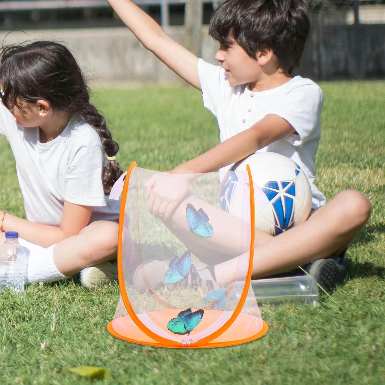 대형 나비 사육장 메쉬 접이식 곤충 서식지 과학 실험용 뒷마당 탐험 투명 디자인