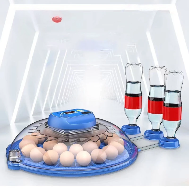 incubateur-d'œufs-de-pigeon-le-plus-vendu-incubateur-automatique-intelligent-a-temperature-constante-multifonctionnel