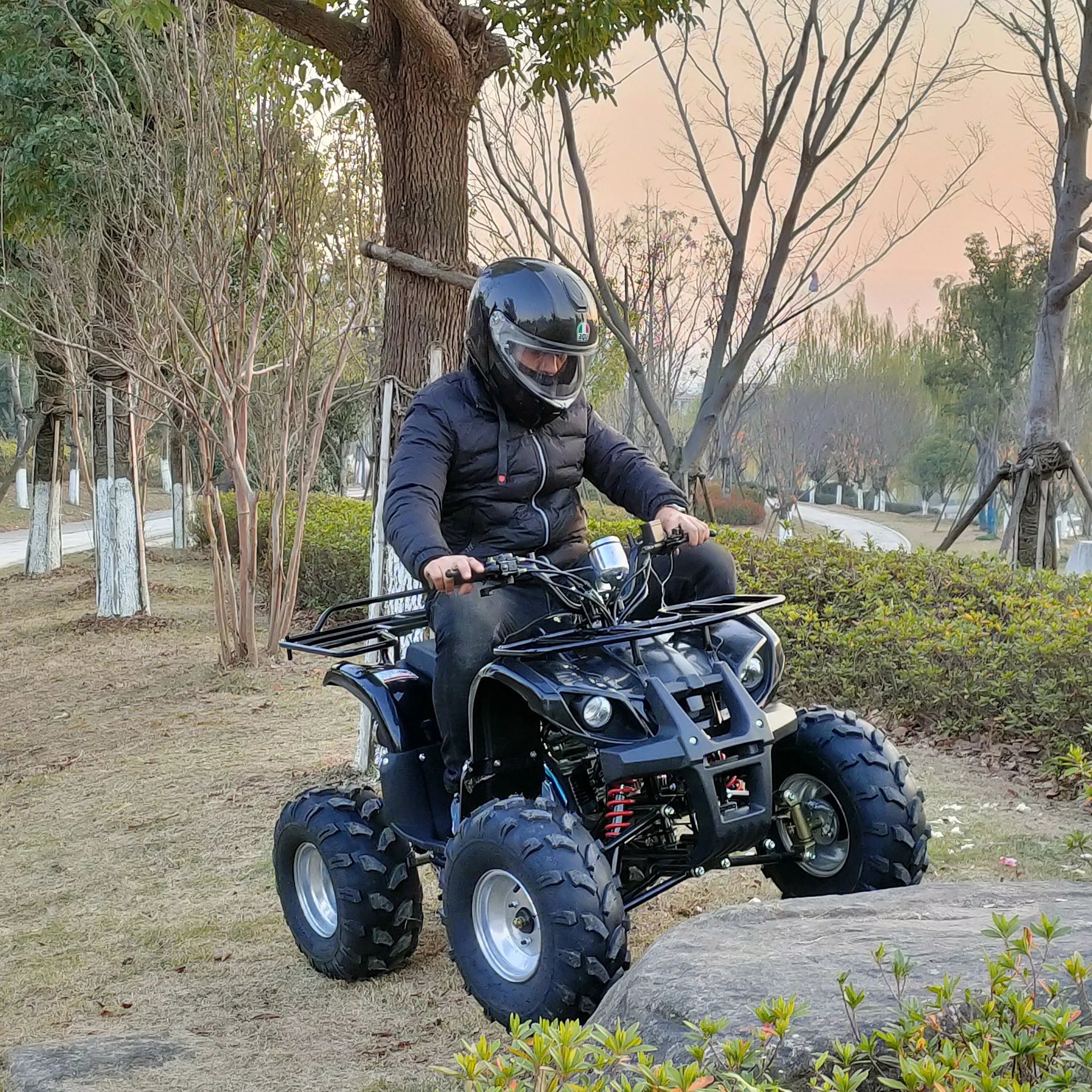 Electric Starting Single Cylinder EPA 110cc/125cc Automatic 4 Stroke Atvs Cheap 110cc Atv For Kids