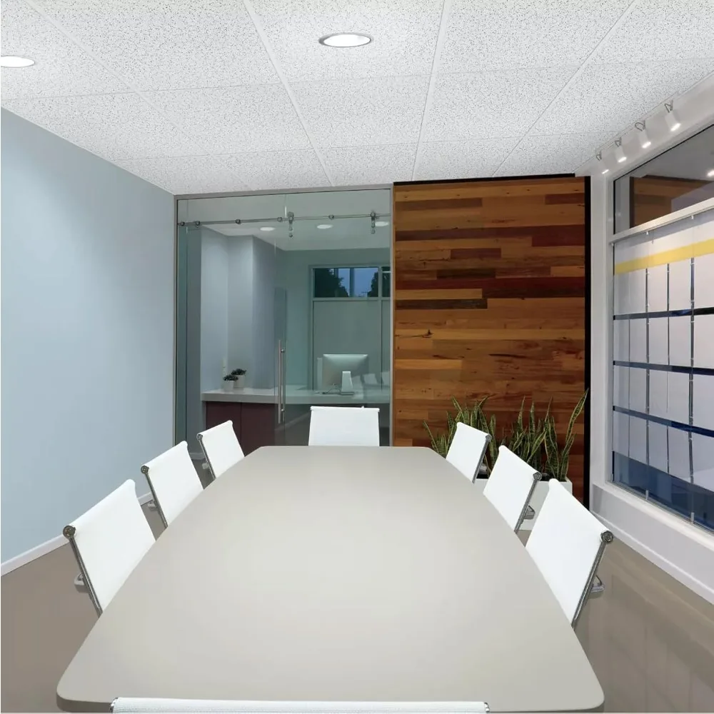 2x4 天井タイル - 10枚入り ホワイト; 吊り下げ式グリッド用吸音天井; ランダムテクスチャ 933