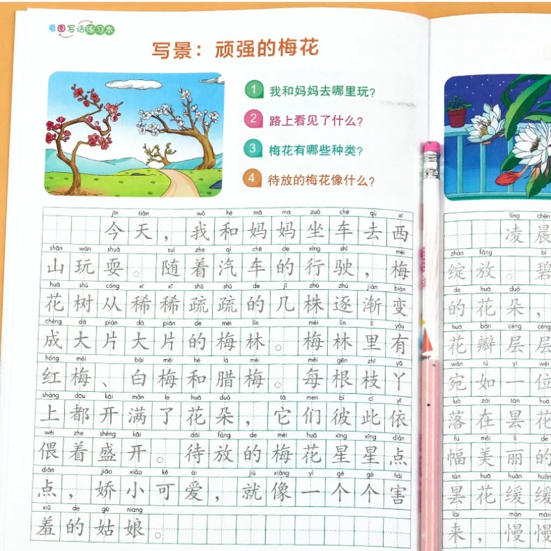 Picture Based Writing Script for First and Second Grade Elementary School Chinese Language Training Composition Beginner's Book