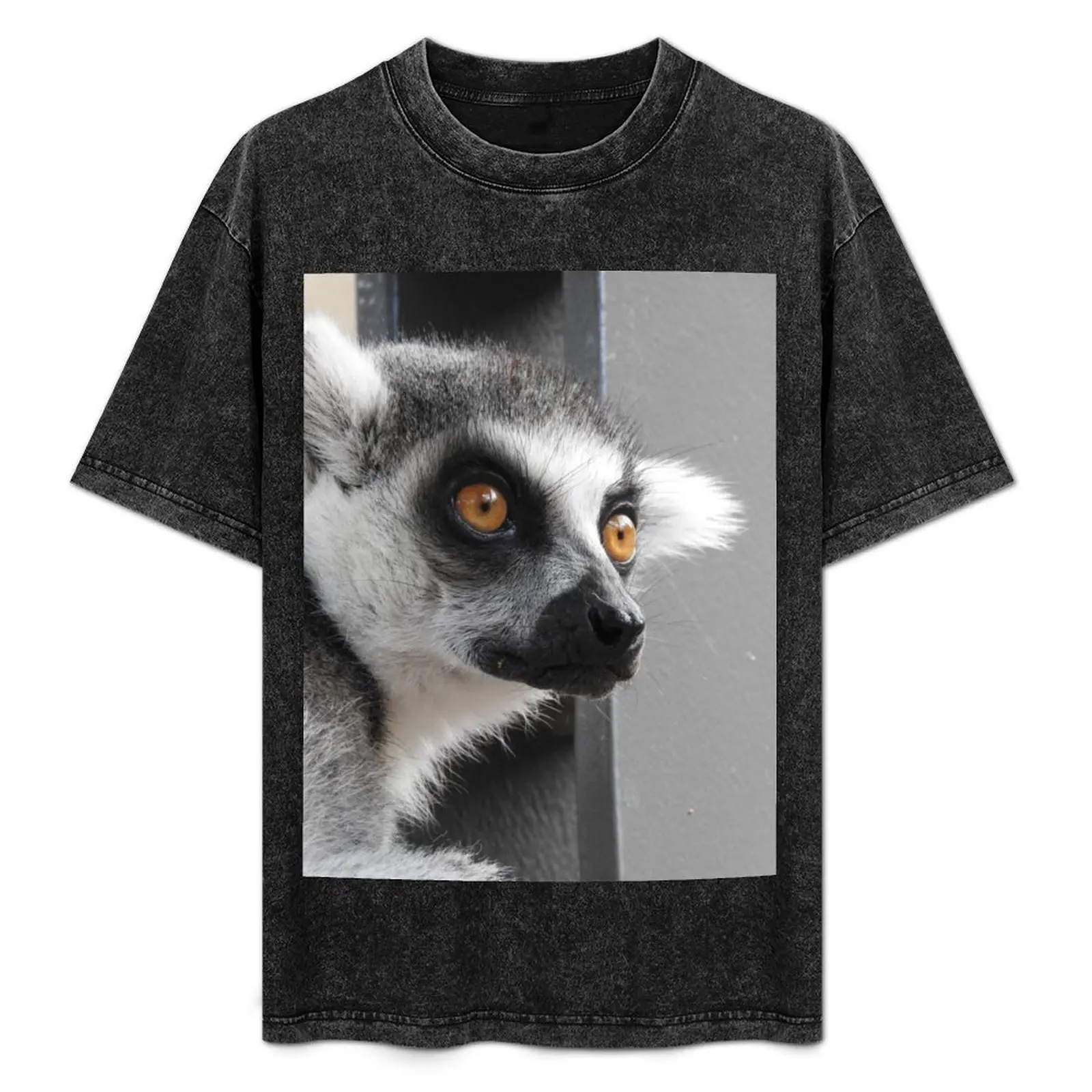 Ring Tailed Lemur T-Shirt new edition cute tops man clothes mens funny t shirts